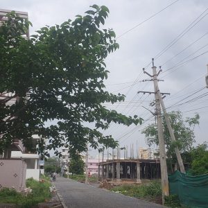 2BHK Villas for Sale in Meenakshi Villas in Guntur,Andhrapradesh- West Facing