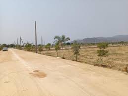 Property Hub Open Plots in Tirupati in Andhra Pradesh/Open Plots in Tirupati in Andhra Pradesh
